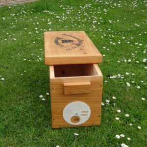 Beekeeper Cottage Nuc Swarm box Macrocarpa (Image 3)